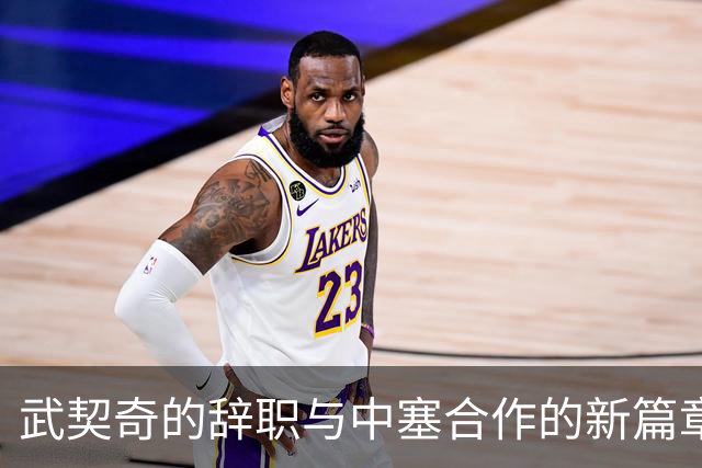武契奇的辞职与中塞合作的新篇章